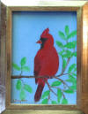 male cardinal