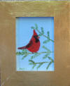 male cardinal