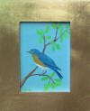 bluebird