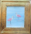 spoonbills in water